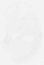 EMAGE:8923