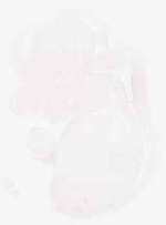 EMAGE:8959
