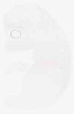 EMAGE:8963
