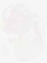 EMAGE:8963