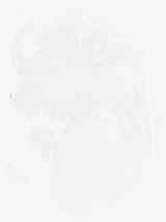 EMAGE:8963