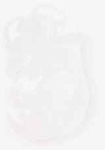 EMAGE:8963