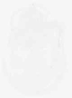 EMAGE:8963
