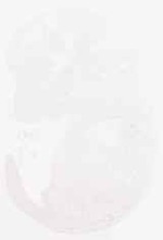 EMAGE:8963