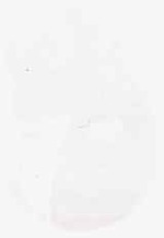 EMAGE:8963