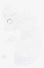 EMAGE:8963