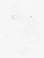EMAGE:8963
