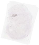 EMAGE:8963