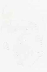 EMAGE:8964