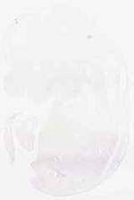 EMAGE:8968