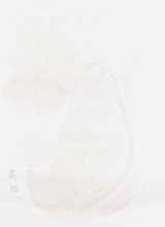 EMAGE:9008