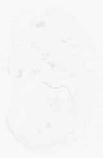 EMAGE:9025