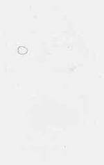 EMAGE:9039