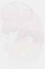 EMAGE:9044