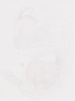 EMAGE:9679