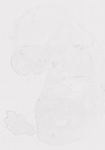 EMAGE:11392