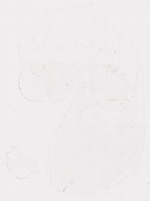 EMAGE:11392