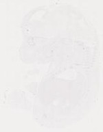 EMAGE:11489