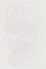 EMAGE:11489