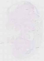 EMAGE:11550