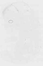 EMAGE:11586