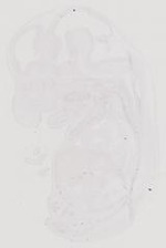 EMAGE:11673