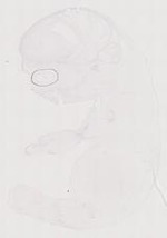 EMAGE:11681
