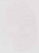 EMAGE:11713