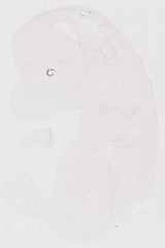 EMAGE:11713