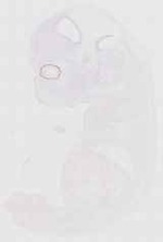 EMAGE:11784