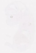 EMAGE:11820