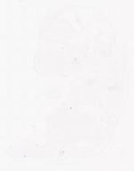 EMAGE:11849
