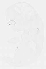 EMAGE:11861