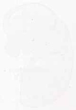 EMAGE:11861