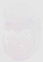 EMAGE:11862
