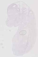 EMAGE:11864