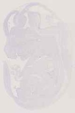EMAGE:11871