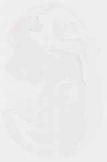 EMAGE:11894
