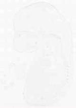EMAGE:11926