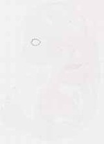 EMAGE:11942