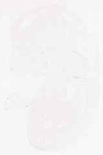 EMAGE:11942