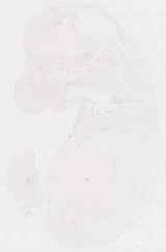 EMAGE:12020