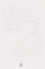 EMAGE:12043