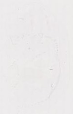 EMAGE:12043