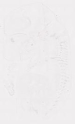 EMAGE:12043