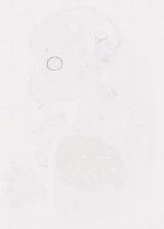 EMAGE:12043