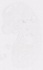 EMAGE:12058