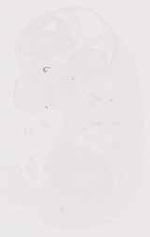 EMAGE:12061