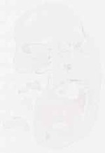 EMAGE:12072