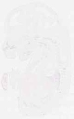 EMAGE:12072
